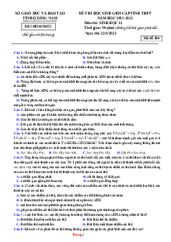 Đề thi HSG cấp tỉnh THPT năm 2021-2022 môn sinh học 12 sở GD Quảng Nam (đề 104, có đáp án)