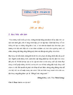 Bài tập cuối tuần lớp 3 môn Tiếng Việt Kết nối tri thức - Tuần 22 (Nâng cao)