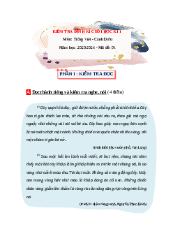 Đề thi Tiếng Việt lớp 4 học kì 1 Cánh Diều năm 2023 - Đề 1