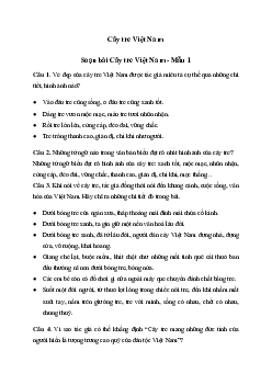 Soạn văn 6:  Soạn bài Cây tre Việt Nam | Ngữ văn 6 | Kết nối tri thức