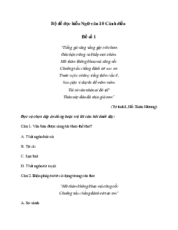 Bộ đề đọc hiểu Ngữ văn 10 Cánh diều