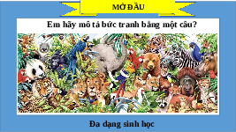 Giáo án điện tử Khoa học tự nhiên 6 bài 33 Chân trời sáng tạo : Đa dạng sinh học