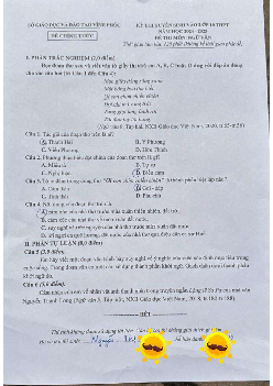 Đề thi tuyển sinh vào 10 môn Ngữ Văn của Sở GD&ĐT Vĩnh Phúc năm học 2024 - 2025
