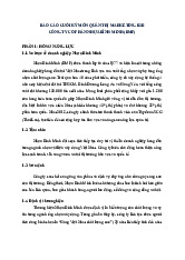 Công ty CP nhựa Bình Minh | Báo cáo cuối kì môn Quản trị marketing B2B