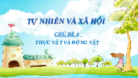 Giáo án điện tử Tự nhiên và Xã hội 2 Bài 16 Kết nối tri thức: Thực vật sống ở đâu?