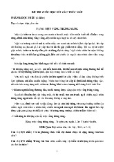 Đề thi học kỳ 1 môn Ngữ Văn lớp 9 năm học 2024 - 2025 - Đề số 2 | Bộ sách Kết nối tri thức