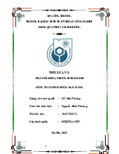 Công ty Cổ phần Dược Hậu Giang | Tiểu luận Phân tích hoạt động kinh doanh