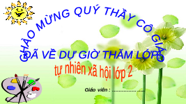 Giáo án điện tử tự nhiên và xã hội 2 Bài 5 Chân trời sáng tạo : Ôn tập chủ đề Gia đình.