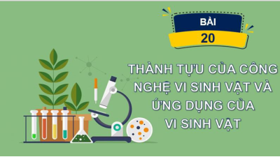Bài 20 | Bài giảng PowerPoint môn Sinh học 10 | Cánh diều
