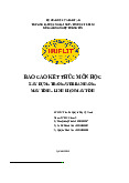 BÁO CÁO KẾT THÚC MÔN HỌC KHOA CNTT| Đại học Ngoại Ngữ - Tin Học Thành Phố Hồ Chí Minh