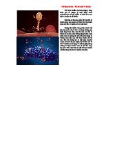 Thể Thực Khuẩn: Sát Thủ Giới Vi Khuẩn và Cơ Chế Lây Nhiễm