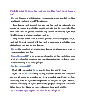 Phân Tích Đối Tượng Điều Chỉnh và Đặc Điểm Luật Hiến Pháp | Môn Luật Hiến Pháp - Trường Đại học Luật Hà Nội