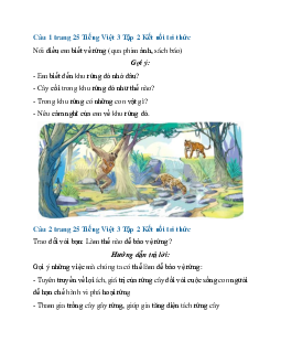 Giải SGK Tiếng Việt 3 trang 25 Bài 5: Ngày hội rừng xanh - Nói và nghe | Kết nối tri thức