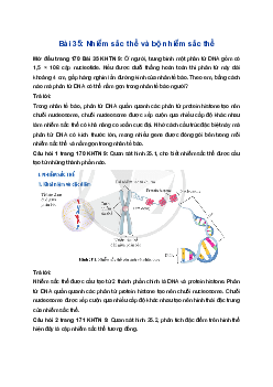 Giải Khoa học tự nhiên 9 Cánh diều Bài 35: Nhiễm sắc thể và bộ nhiễm sắc thể