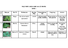 Nhận thức dược liệu về cây thuốc | Đại học Y Dược Thành phố Hồ Chí Minh