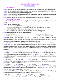 Đề cương ôn thi Hóa 11 HK2 trắc nghiệm theo từng mức độ