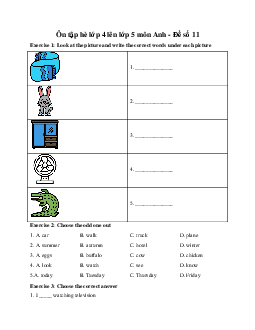 Ôn tập hè lớp 4 lên lớp 5 môn Anh - Đề số 11