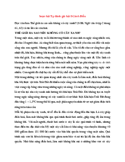 Soạn bài Tự đánh giá bài 8 | Ngữ Văn 6 Cánh Diều tập 2