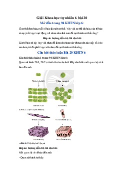 Khoa học tự nhiên 6 - bài 20 Các cấp độ tổ chức trong cơ thể đa bào | Chân trời sáng tạo