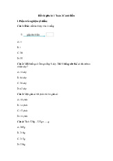 Đề thi giữa học kỳ 1 môn Toán lớp 3 năm học 2024 - 2025 - Đề số 1 | Bộ sách Cánh diều