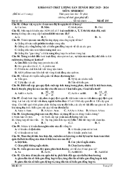 Đề thi thử THPT Quốc gia năm 2024 lần 3 môn Sinh học trường THPT Đội Cấn, Vĩnh Phúc - Mã đề 135