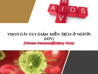 Virus gây suy giảm miễn dịch ở người ( HIV )