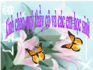 Bài giảng điện tử môn Khoa học tự nhiên 7  Sinh Học Bài 38: Thực hành: Quan sát, mô tả sự sinh trưởng và phát triển ở một số sinh vật | Kết nối tri thức