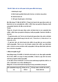 Giải Khoa học tự nhiên 9 Kết nối tri thức Bài 40: Dịch mã và mối quan hệ từ gene đến tính trạng
