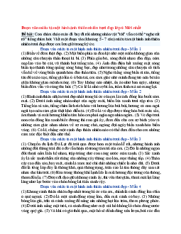 Văn mẫu lớp 6 Kết nối tri thức bài Đoạn văn miêu tả một hình ảnh thiên nhiên tươi đẹp mới nhất