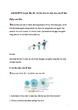 Giải KHTN Lớp 6 Bài 20: Sự lớn lên và sinh sản của tế bào | Kết nối tri thức