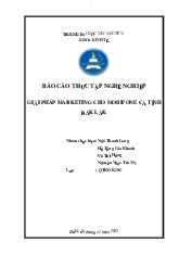 Giải pháp Marketing cho Mobifone tại Đắk Lắk môn Nghiên cứu về Marketing| Trường Đại Học Tây Nguyên