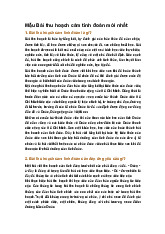 Mẫu Bài thu hoạch cảm tình đoàn mới nhất