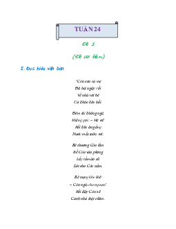 Bài tập cuối tuần lớp 2 môn Tiếng Việt Cánh Diều - Tuần 24 (Nâng cao)