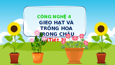 Giáo án điện tử Công nghệ 4 Cánh diều: Gieo hạt và trồng hoa trong chậu (tiết 3)