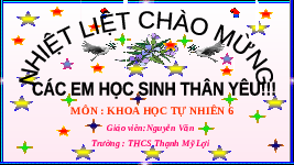 Giáo án điện tử Khoa học tự nhiên 6 bài 1 Chân trời sáng tạo : Giới thiệu về khoa học ... Nguyễn Văn
