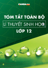 ôn thi ki thi vsat thpt nam 2025