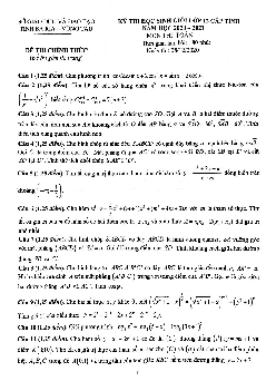 Đề thi HSG Toán 12 cấp tỉnh năm 2020 – 2021 sở GD&ĐT Bà Rịa – Vũng Tàu