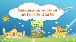 Giáo án điện tử Tự nhiên và Xã hội 2 Bài 16 Kết nối tri thức: Thực vật sống ở đâu?