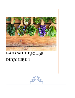 Kiểm nghiệm dược liệu chứa Flavonoid | Báo cáo thực tập môn Dược liệu