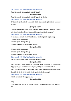 Giải VBT môn Tiếng việt 2 - Bài 11: Sự tích cây thì là | Kết nối tri thức