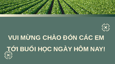 Giáo án điện tử Công nghệ chăn nuôi 11 Bài 18 Cánh diều: Quy trình nuôi dưỡng và chăm sóc một số loại vật nuôi
