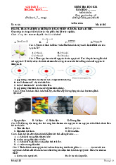 Đề thi học kỳ 1 môn Hoá học lớp 10 năm học 2024 - 2025 - Đề số 3 | Bộ sách Kết nối tri thức