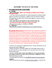 THÔNG TIN CÔNG TY Schannel: Lịch sử và Sản phẩm | Tóm tắt