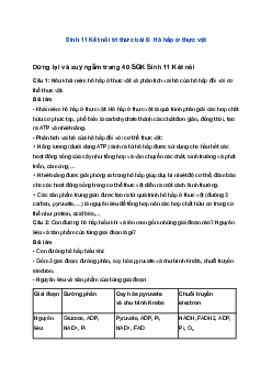 Sinh 11 Kết nối tri thức bài 6: Hô hấp ở thực vật