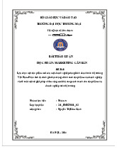 Nghiên Cứu Sản Phẩm Mới: VinFast VF3 | Bài thảo luận marketing căn bản