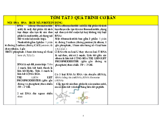 Bảng tóm tắt lý thuyết môn Sinh học phân tử