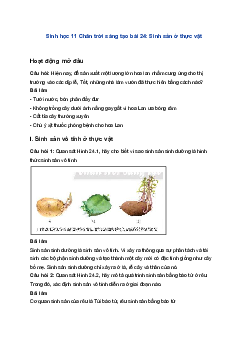 Sinh học 11 Chân trời sáng tạo bài 24: Sinh sản ở thực vật