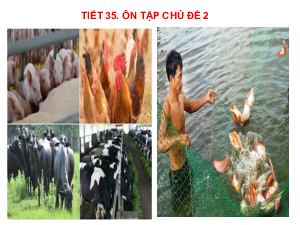 Bài giảng điện tử môn Công nghệ 7 Ôn tập Chủ đề 2: Chăn nuôi và và thuỷ sản (Tiết 35) | Cánh diều