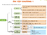 Giáo án điện tử Công nghệ 6 Chân trời sáng tạo: Ôn tập chương 1 Nhà ở