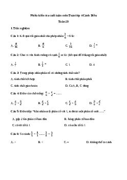 Phiếu bài tập cuối tuần lớp 4 môn Toán nâng cao Tuần 29 Cánh Diều